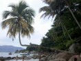/album/fotos-de-passeios-realizados-na-ilha-grande/a2012-02-19-13-22-51-917-jpg/